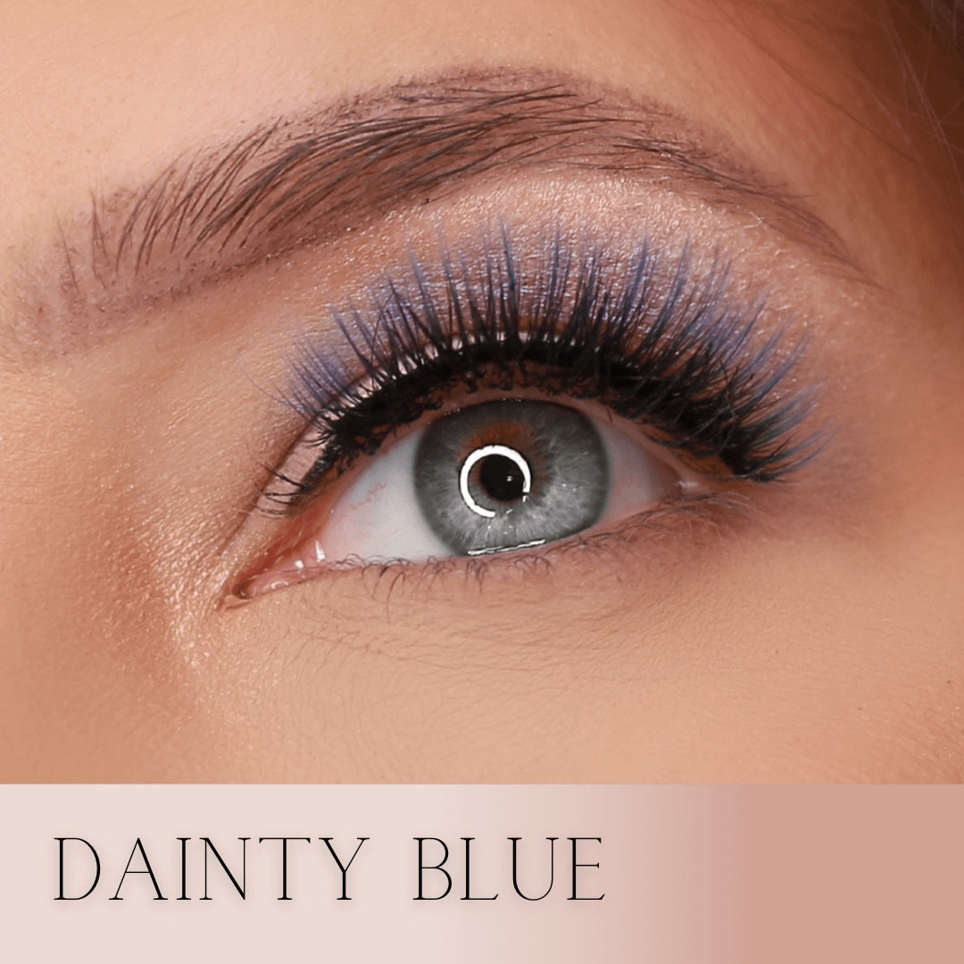 Dainty Blue - Nuwara Beauty